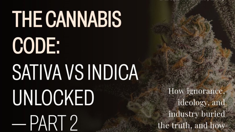 Part 2: From Stigma To Science — The Global Cannabis Awakening